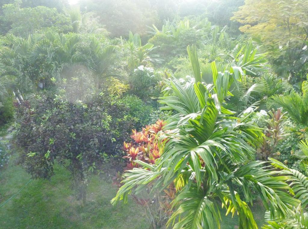 La Batie Selfcatering Apartment Beau Vallon  Extérieur photo